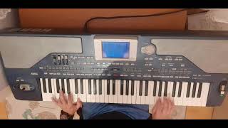 Shakira - Waka Waka - New Korg Pa 800