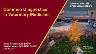 Common Diagnostics in Veterinary Medicine