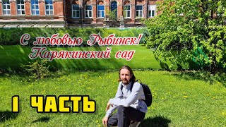 11. Переезд в Россию / Уехали в Рыбинск