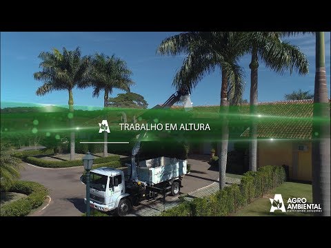 Vídeo de Treinamento para trabalho em altura 1