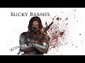 Bucky barnes  the making of the winter soldier stevebucky