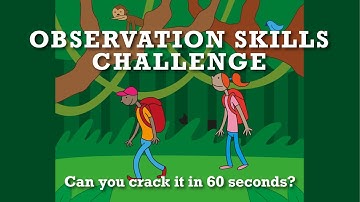 Observation Skills Challenge