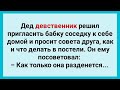 Дед Девственник Привел Соседку! Подборка Веселых Жизненных Анекдотов! Юмор!