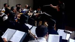 奇美曼陀林樂團1ChiMei Mandolin Orchestra.