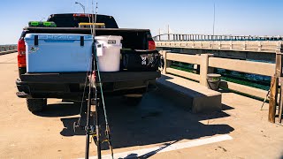 Essential Items That You Need to Be Successful at The Skyway Fishing Pier!