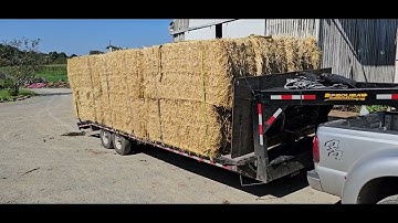 Can These Farmers Move a Mountain of Straw Without Machines?