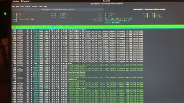 intensive DDNet++ debugging with chillerbot-ng pentest mode
