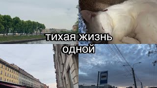 :    |   ,     