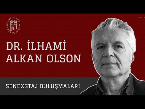 Video: Levinson, yetişkinlik teorisini tanımlamak için kaç aşama kullanıyor?