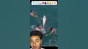 إستطاعو صيد الدلف ين وسط البحر وبدون قارب بحر سباحة صيف صيد سمك Delphin 