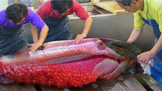 This Fish Is Banned in US, Here&#39;s WHY...