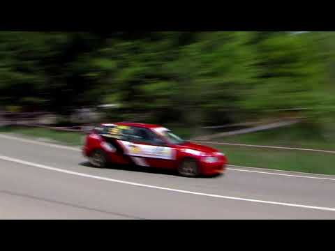 თბილისის 2019 წლის თასი აღმართის დაძლევაში