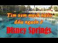 Tìm xem Mạch nước Đầu nguồn ở Disney Springs Orlando Florida (Vlog 198 - Cuộc sống Mỹ).