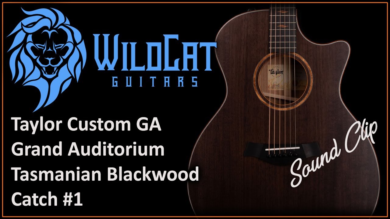 Taylor Custom GA Grand Auditorium Blackwood / Blackwood Catch 1 