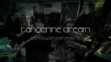 Tangerine Dream - Identity Proven Matrix (live studio performance)