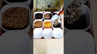 Attayya ichina Popula Pette sardukundam randi ✨ | Kitchen Organization | #Shorts #eswarhomefoods