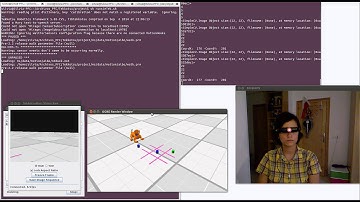 Control of AIBO robot