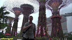 Singapore Gardens by the Bay Travel Guide