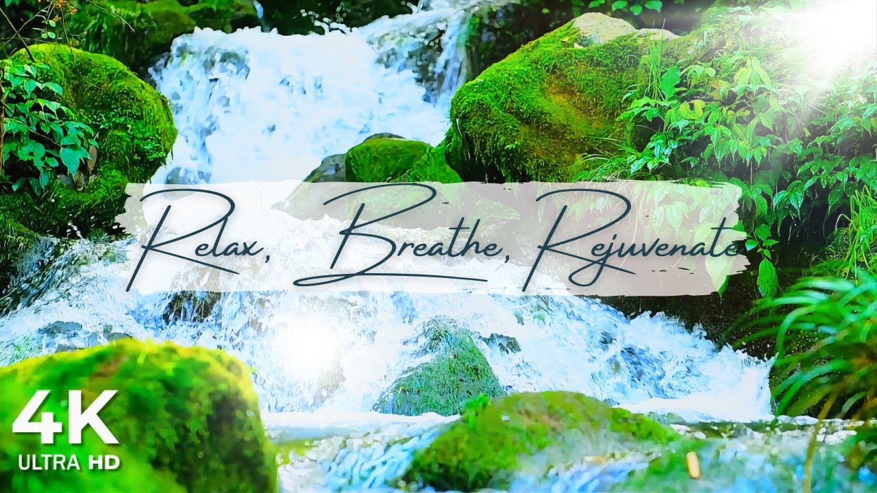 Whispers of Spring & Soothing Piano | A Journey into Calm & Relaxation ...