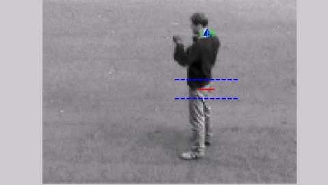 Extraction of time series from video data, Utah State University