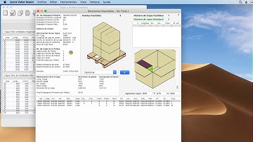 Ejemplo de Quick Pallet Maker 102 - Llenar cajas estándar con empaques primarios