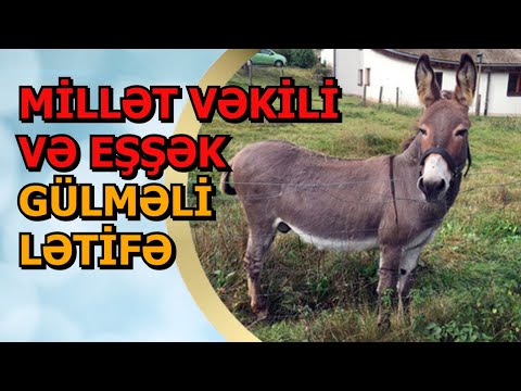 Yaponlar oğrututan robotu Azərbaycana göndərir / mirt letife / gulmeli