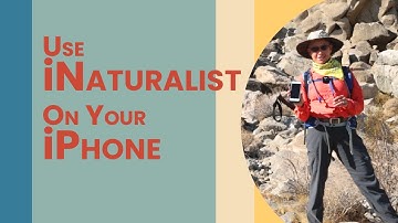 How to Use iNaturalist With Your iPhone