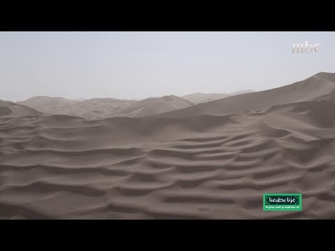 نورة بنت عبدالرحمن ما قصتها وما قصة عبارة أخو نورة
