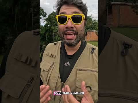 Influencer morre depois de ser mordida por cobra dentro de casa