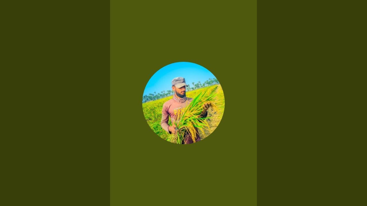 Sohel AGRO is live! আসুন সবাই মিলে রামাদানের আনন্দ শেয়ার করি। - YouTube