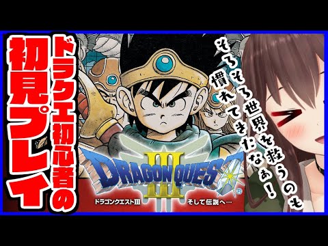 ドラクエ3 / DQ3】こちとらもう2回も世界を平和にした勇者なん