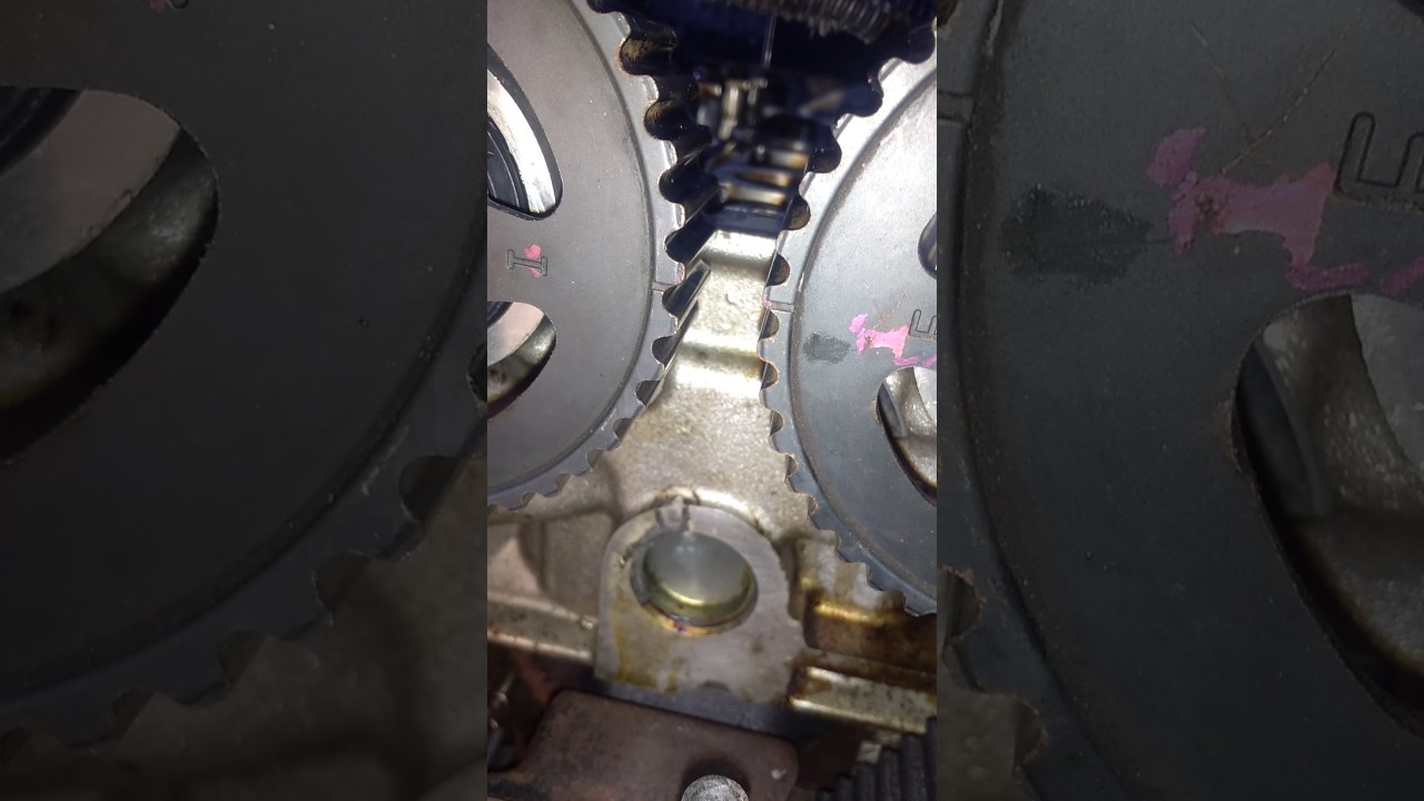 Puntos Y Correa De Distribuci U00f3n En Kia Sorento Diesel