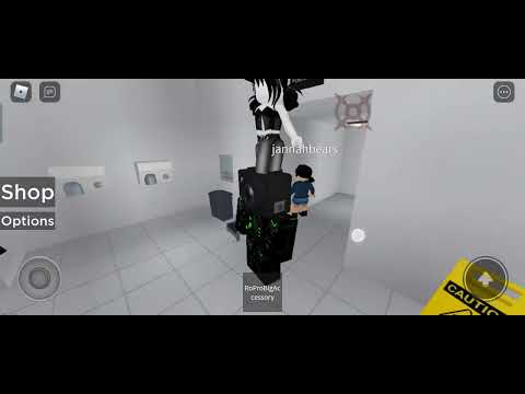 Roblox Fe hold hat script
