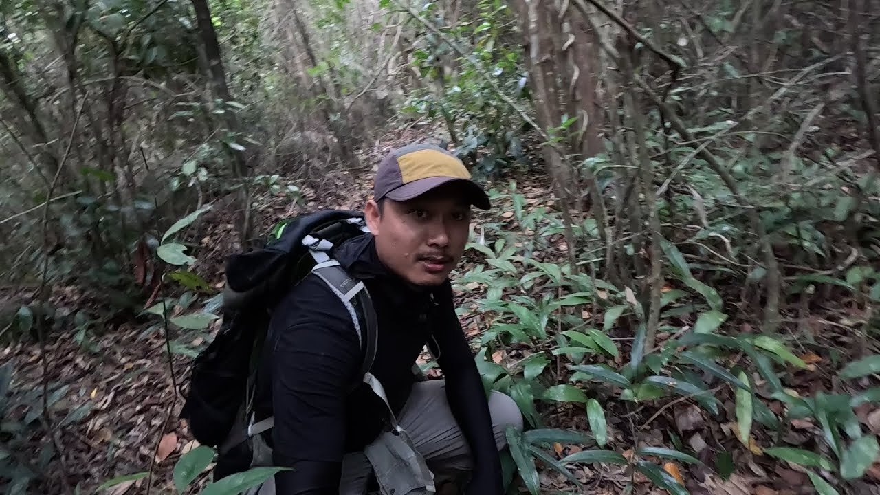 Gặp Hiện Tượng Lạ Khó Lí Giải Trong Rừng Nơi Thanh Niên Mất Tích Bí Ẩn