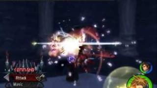 Master/Valor Sora, Auron, Cloud, and Hercules VS. Ultimate Hades