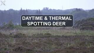 DAYTIME CAM & HIKMICRO GRYPHON THERMAL - SPOTTING DEER