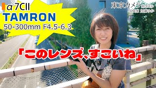 TAMRON - にゃんにゃんにゃん hqdefault.jpg