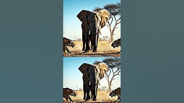Two Tigers vs Giant Elephant: The Ultimate Battle for Dominance!🐘🐅 #tiger #elephant #animalfight