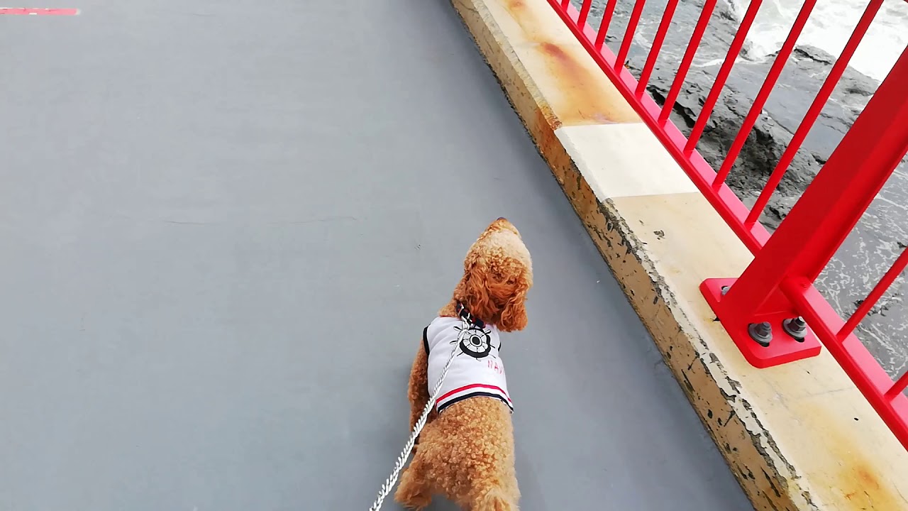 江ノ島散歩2 Youtube