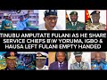 TINUBU CRIPPLE FULANI MILITARY POWER AS YORUBA IGBO AND HAUSA GETS SERVICE CHIEFS FULANI AMPUTATED