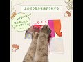 「モンプチ クリスピーキッス」　外装パッケージでLet’s 折り紙♬　～難易度★★（初中級）　きのこ編～