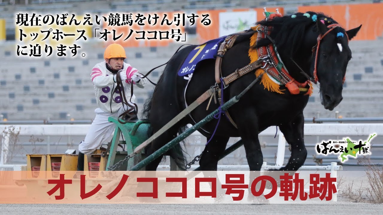 ばんば通信 公式 ばんえい十勝