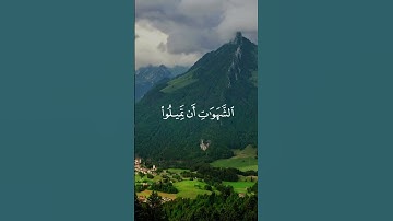 #quran #التدبر #اطمئن_وتوكل_على_الله #اكسبلور #القارئ_ياسر_الدوسري #قرآن #قرآن #راحة_نفسية