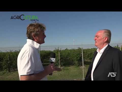 AGRICULTURA VENETA  | 10/09/2023