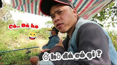 Trải Nghiệm Thực Tế Câu Cá Ở HỒ ĐÁ Trong Làng Đại Học QUỐC GIA Tp . THỦ ĐỨC , Ta Nói.......NẮNG CỰC