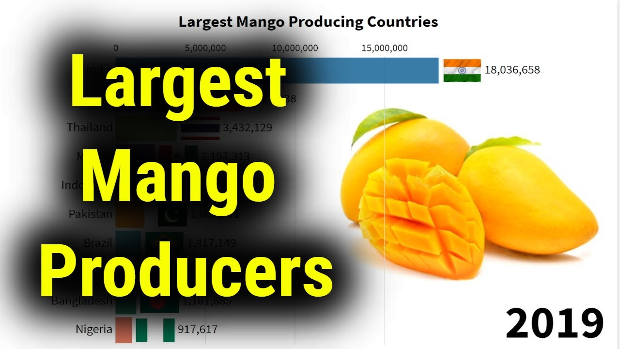 Top Largest Mango Producers Countries In The World 1960 To 2019 YouTube top-largest-mango-producers-countries-in-the-world-1960-to-2019-youtube