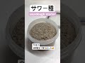 【サワー種🥰🥖】 #サワー種 #サワードウ #サワードゥーブレッド #ドイツパン #フランスパン #baguette #sourdoughstarter #sourdough #bread
