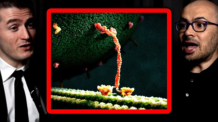 Can AI simulate nature? | Demis Hassabis and Lex Fridman