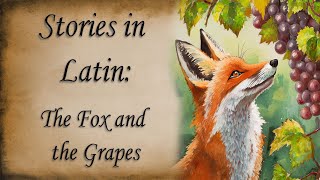 Stories in Latin  The Fox and the Grapes (Vulpes et Uva)