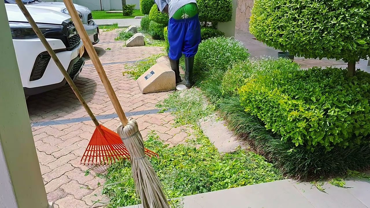 Edging mondo grass #garden #gardenflowers 
